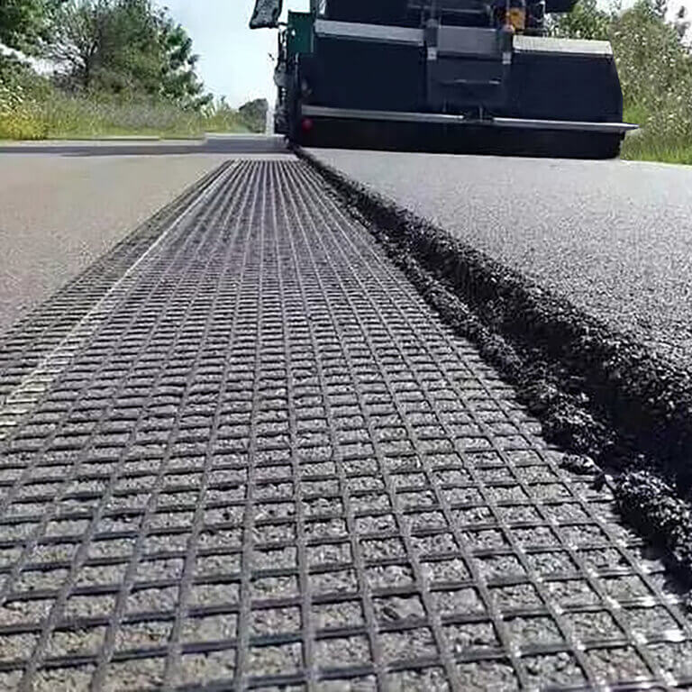 Geogrid